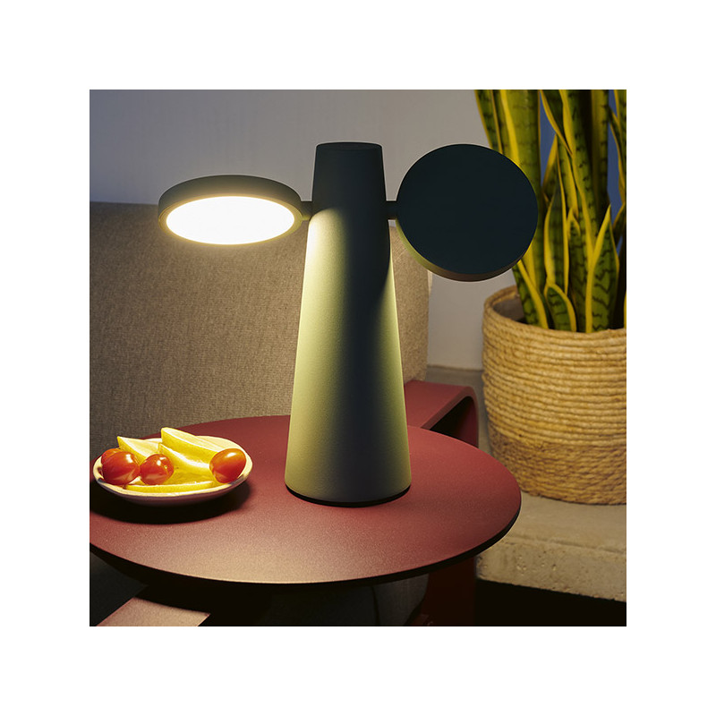 Lampe H. 27 cm OTO FERMOB CACTUS